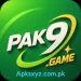 PAK9 GAME